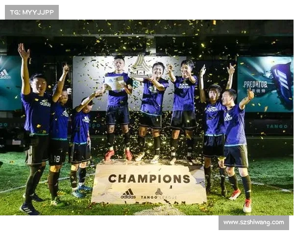 2018足球赛事,2018足球赛冠军是哪个国家