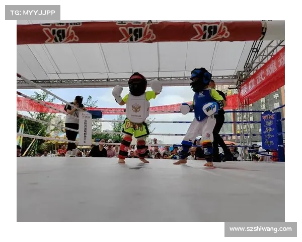 搏击赛事赞助商核心战略合作共创辉煌未来