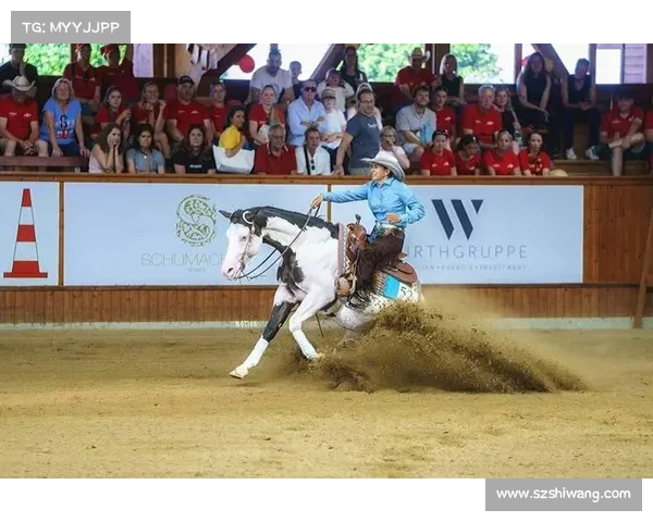西部马术reining_2019年国际西部马术赛事高潮迭起精彩纷呈全记录